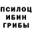 Галлюциногенные грибы прущие грибы Rebeca Khaklari