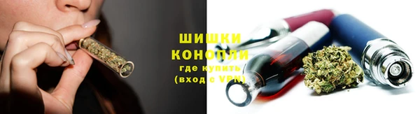 прущая мука Бородино