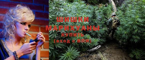 мдпв Бугульма